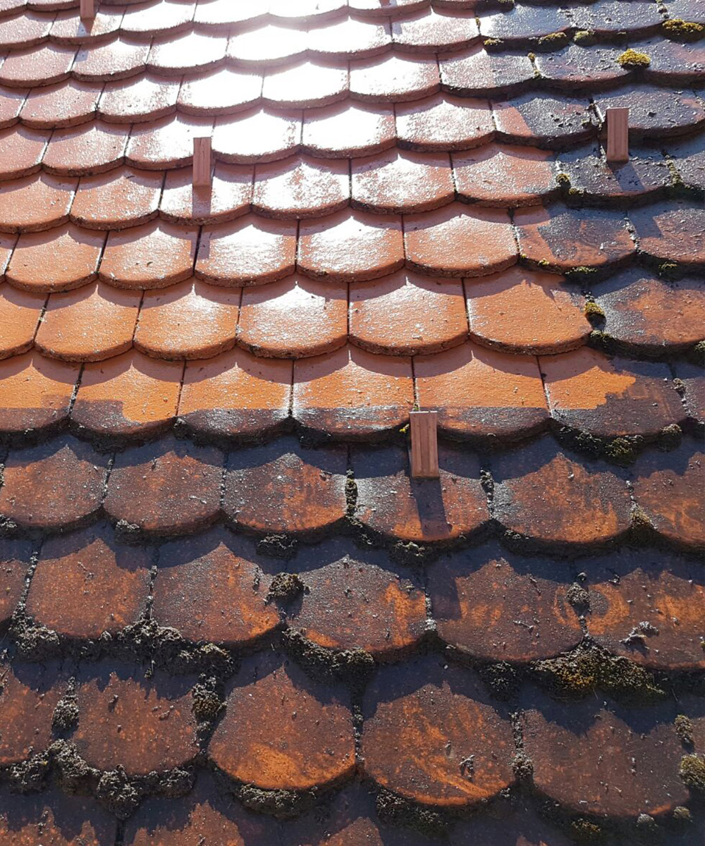 Demoussage et nettoyage de toiture à Charenton-le-Pont (94220) dans le Val de Marne (94)