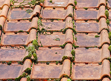 Nettoyage et demoussage de toiture à Charenton-le-Pont (95220) dans le Val de Marne (94)